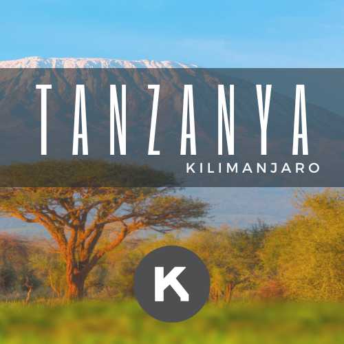 Tanzanya Kilimanjaro AA Kamaradcoffee’de